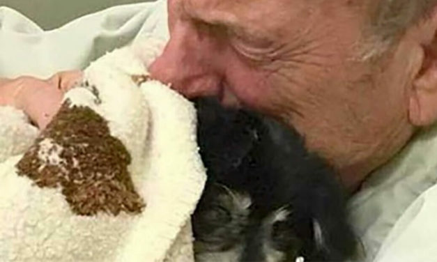 Man dies shortly after his dog of 14 years passed away