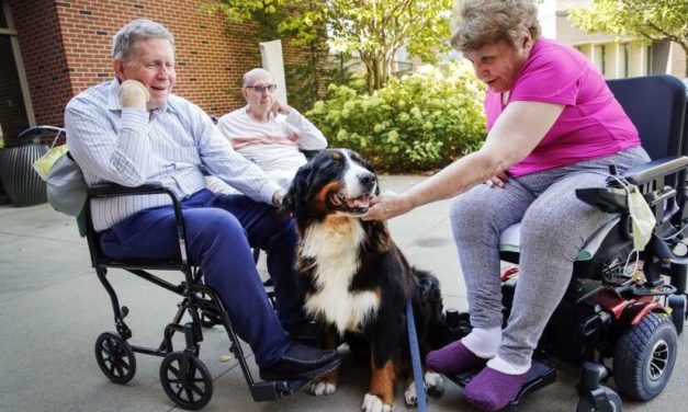 Residential Therapy Dog Helps Mercy’s Hallmar Residents Feel At Home